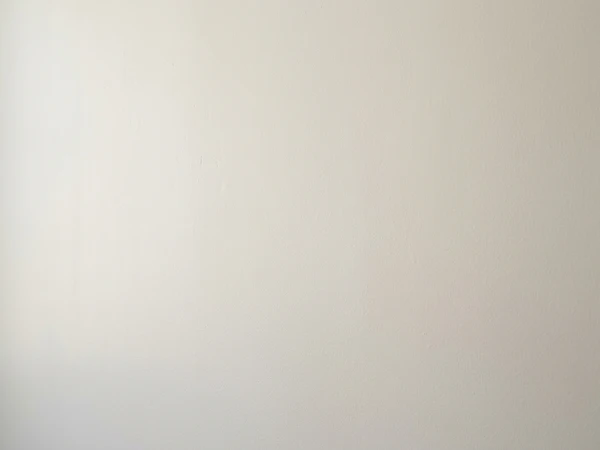 Sherwin-Williams Pure White SW 7005 on an interior wall