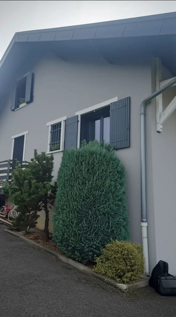 Façade Rénovée